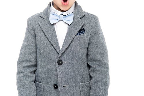 服饰的服饰分类